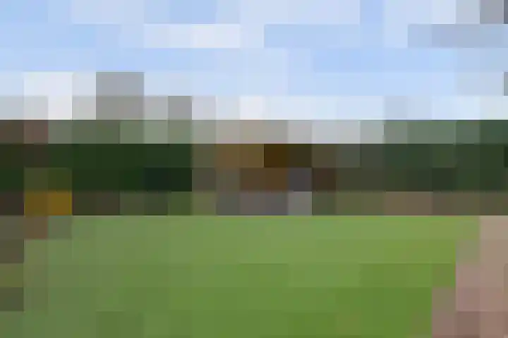 Kloetschup 1 Warnsveld thumbnail 30