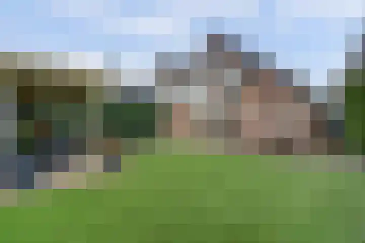Kloetschup 1 Warnsveld thumbnail 32