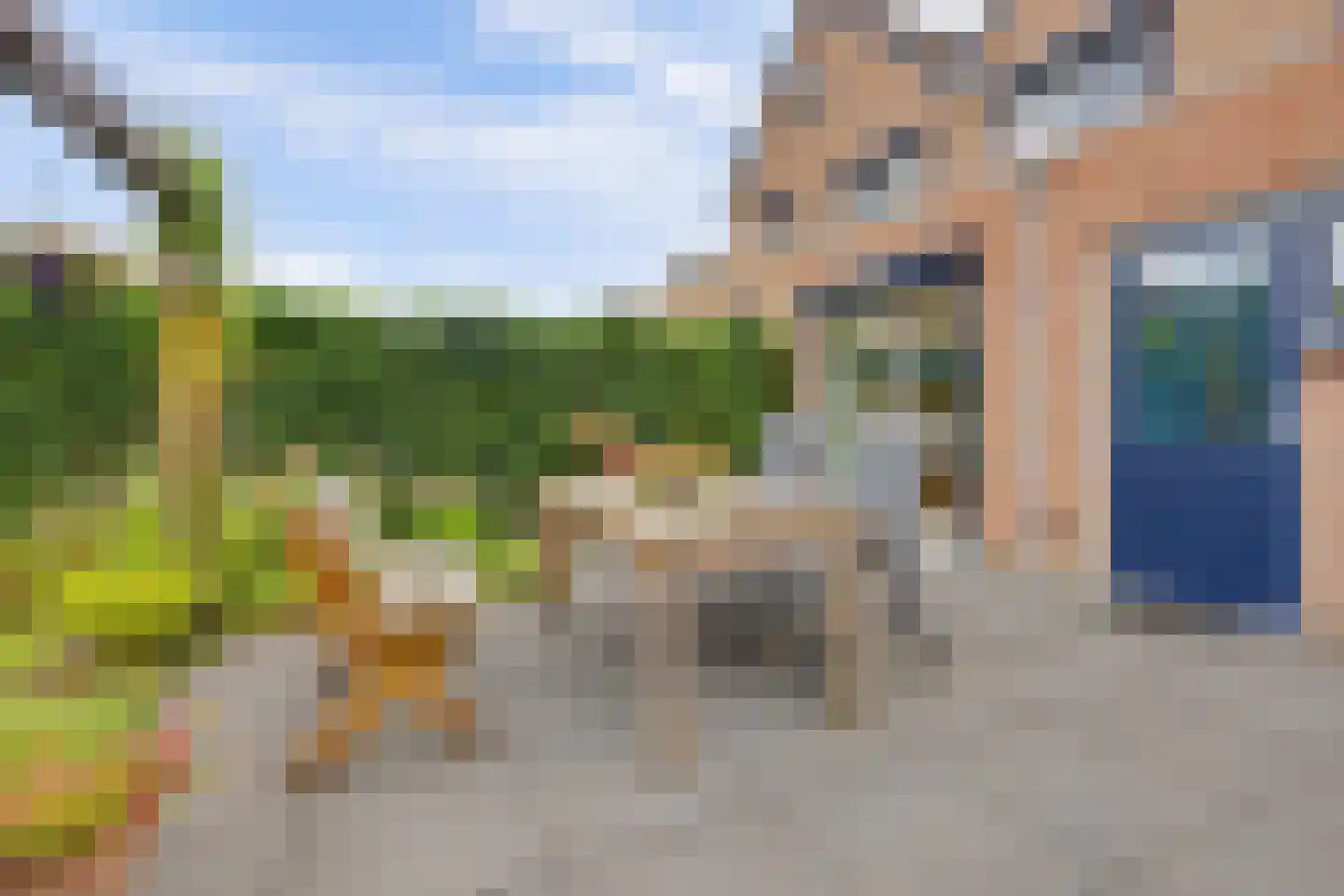 Kloetschup 48 Warnsveld thumbnail 37