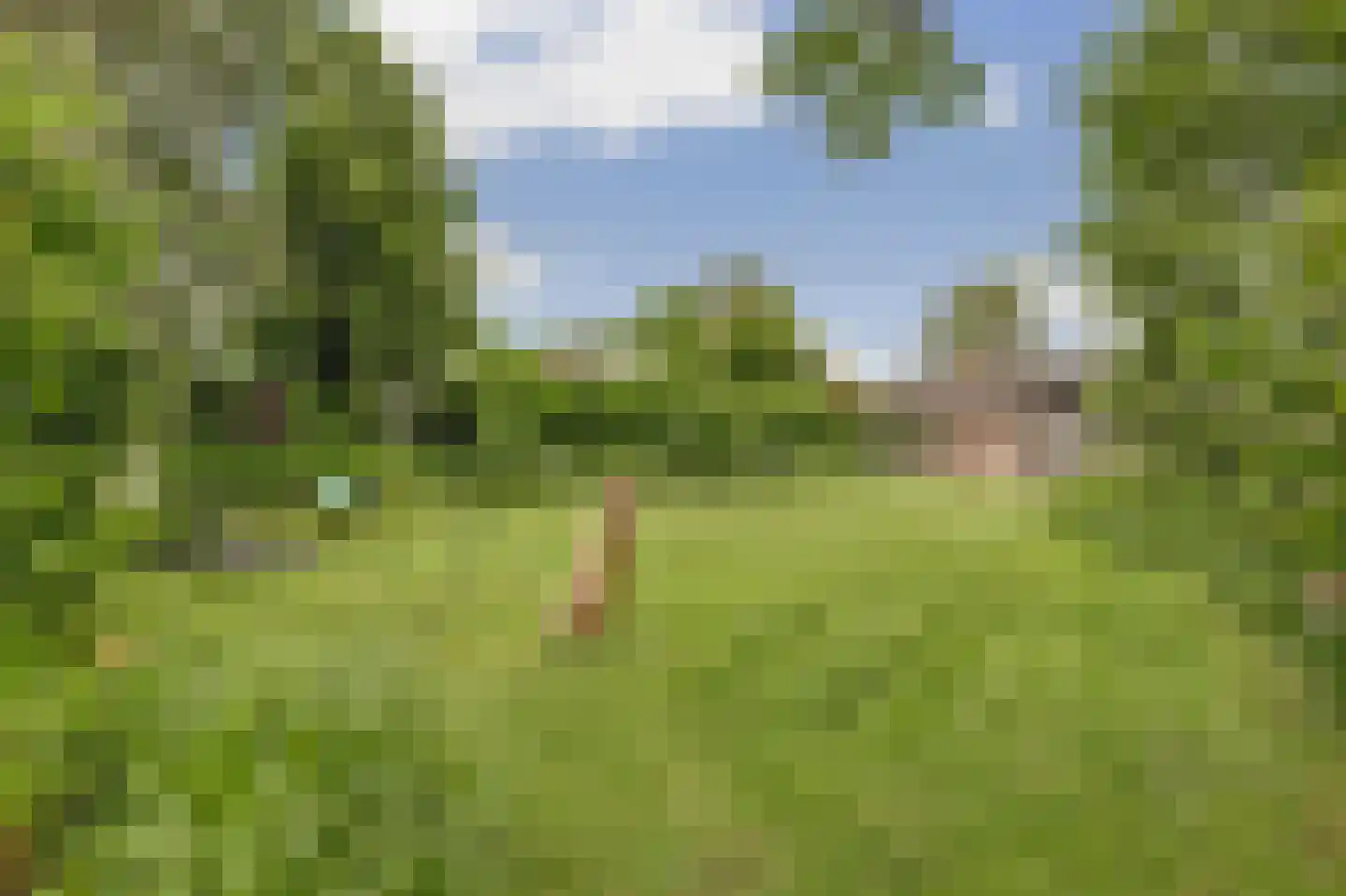 Kloevelaan 22 Giessenburg thumbnail 18