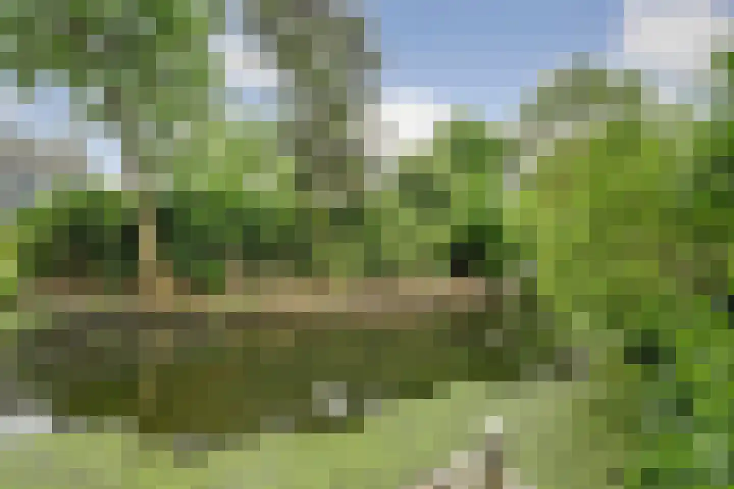 Kloevelaan 22 Giessenburg thumbnail 19