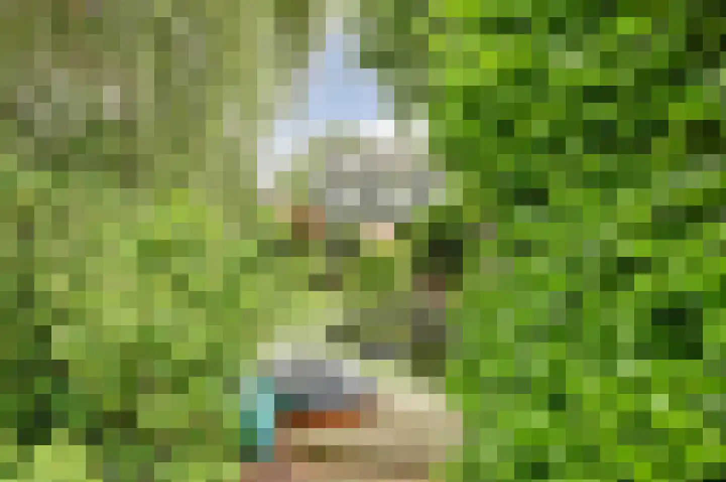 Kloevelaan 22 Giessenburg thumbnail 20
