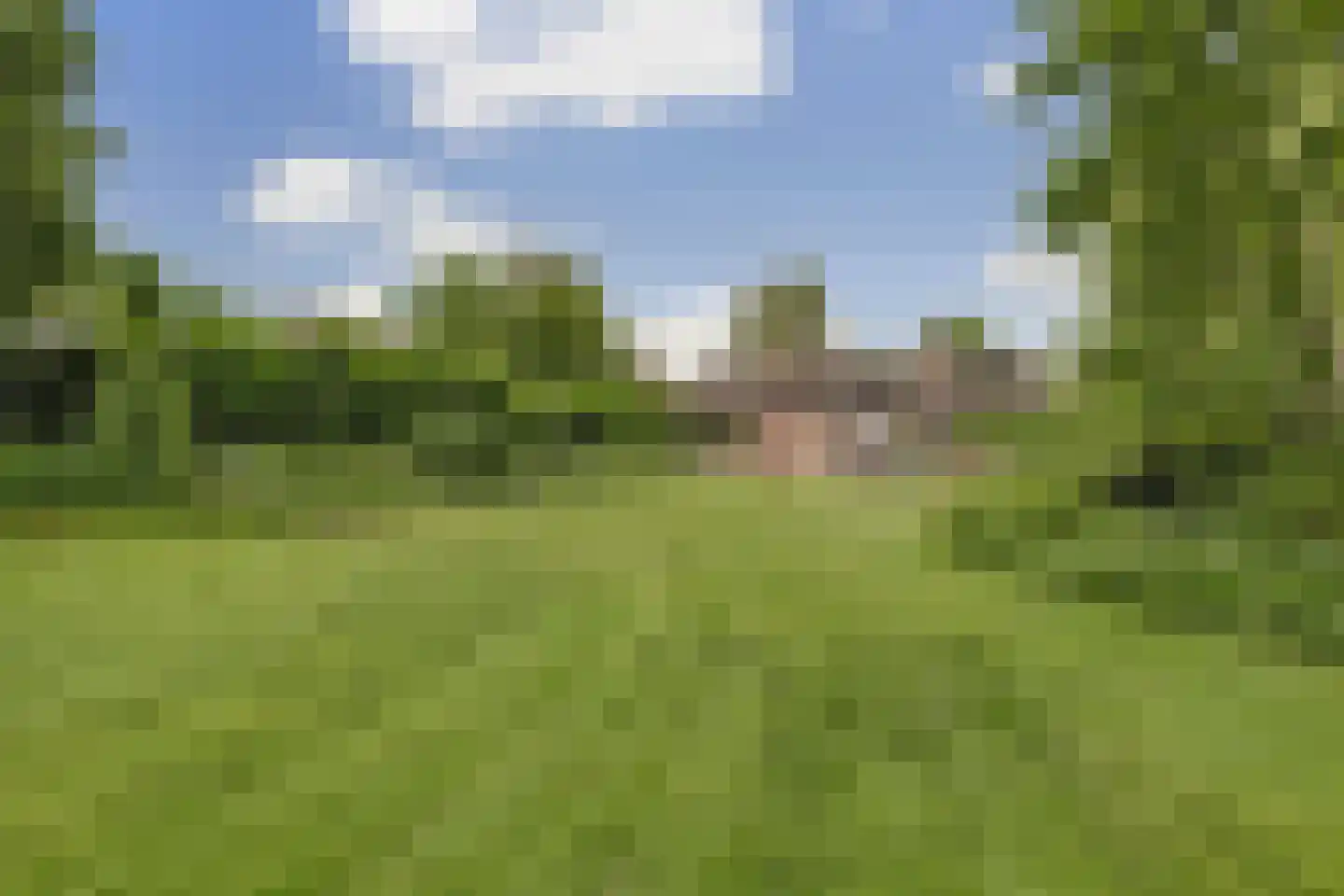 Kloevelaan 22 Giessenburg thumbnail 23