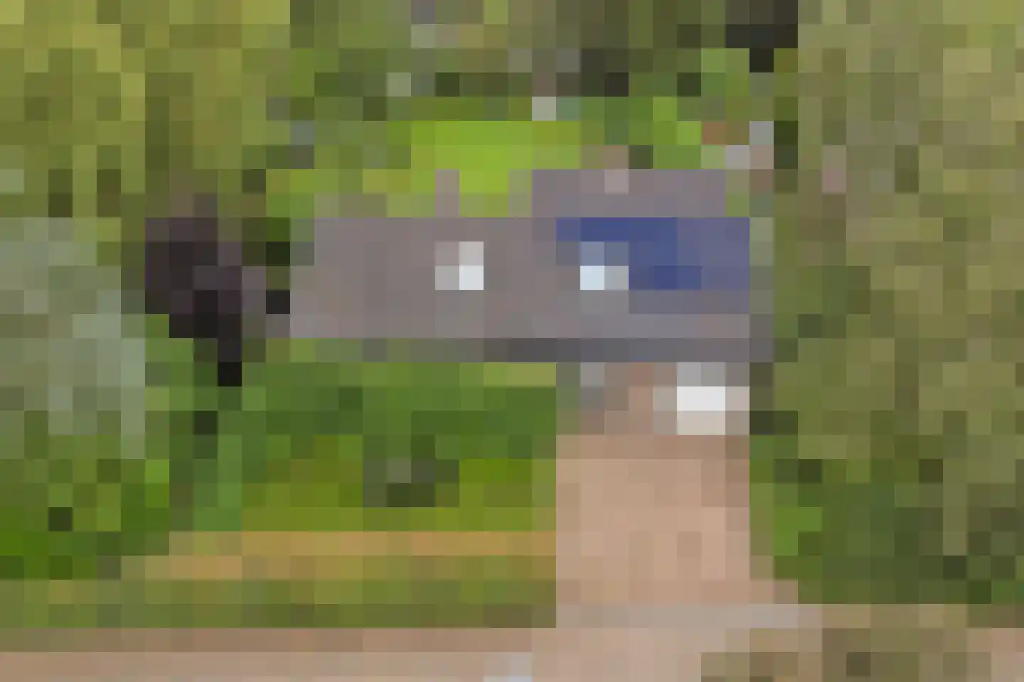 Kloevelaan 22 Giessenburg thumbnail 25
