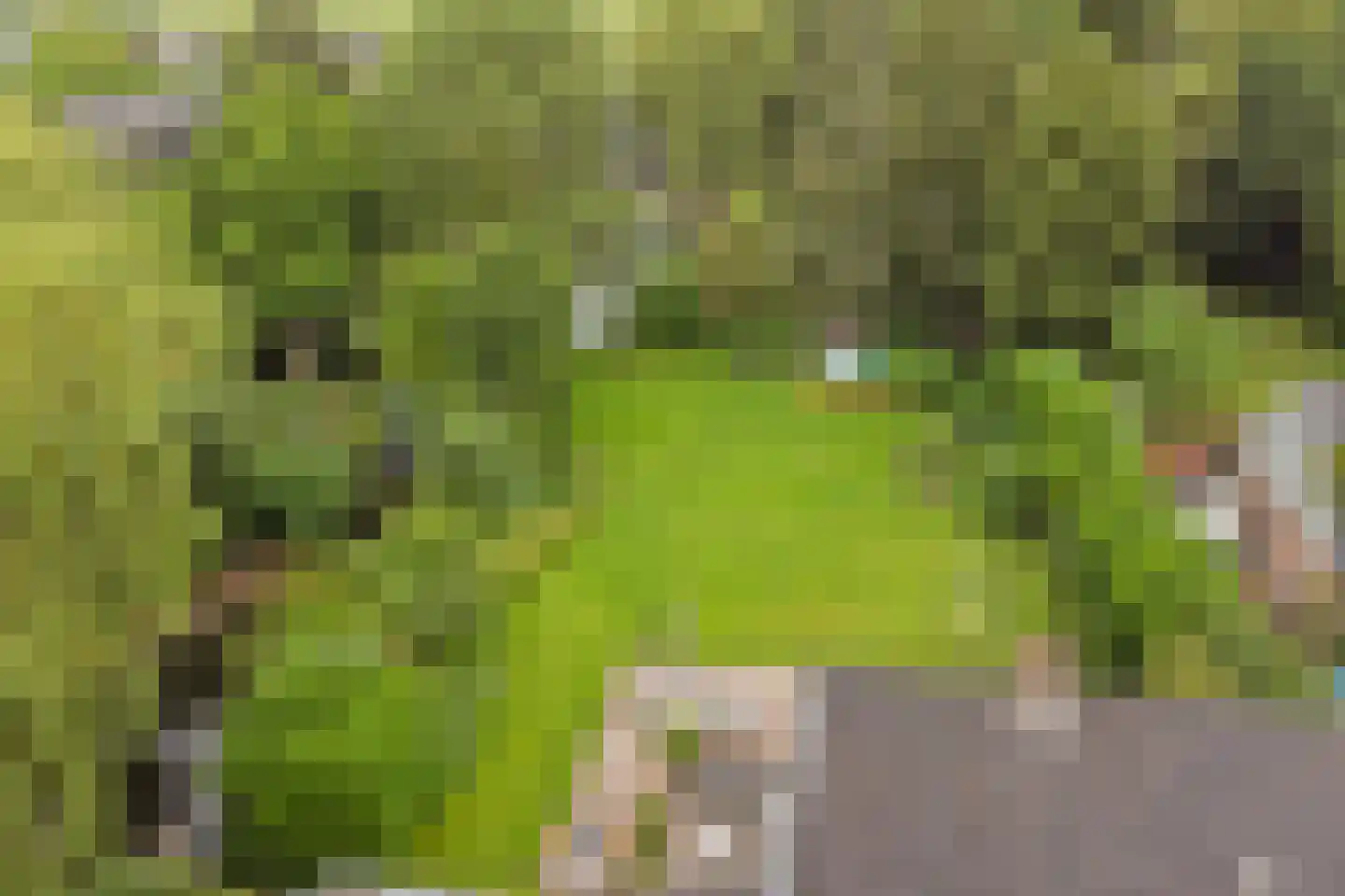 Kloevelaan 22 Giessenburg thumbnail 26