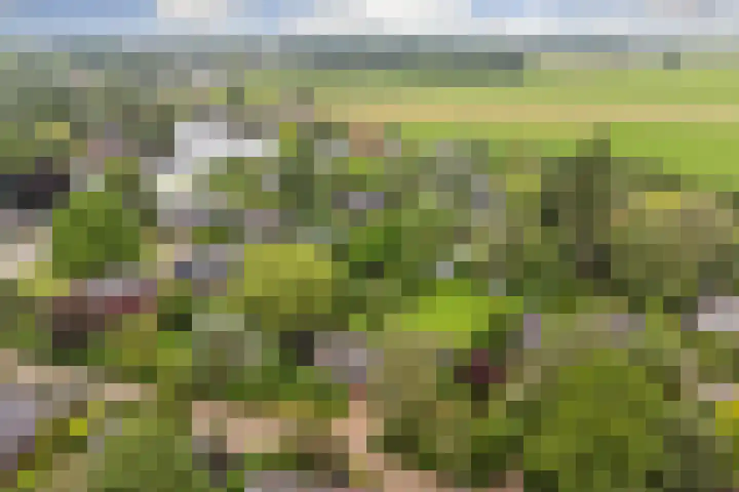 Kloevelaan 22 Giessenburg thumbnail 27
