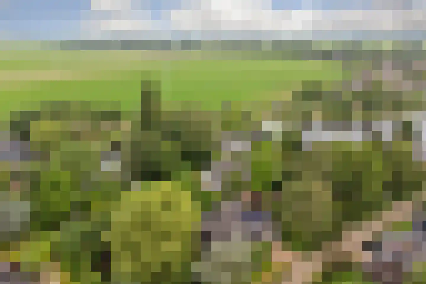 Kloevelaan 22 Giessenburg thumbnail 28