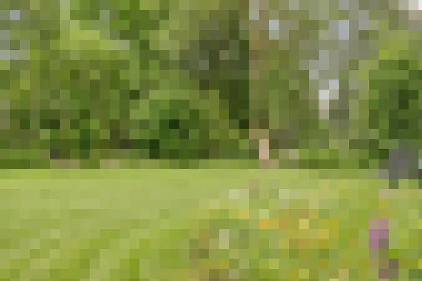 Kloevelaan 22 Giessenburg thumbnail 41