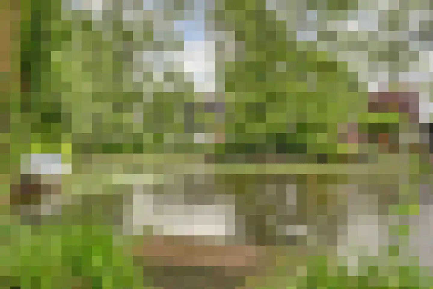 Kloevelaan 22 Giessenburg thumbnail 43