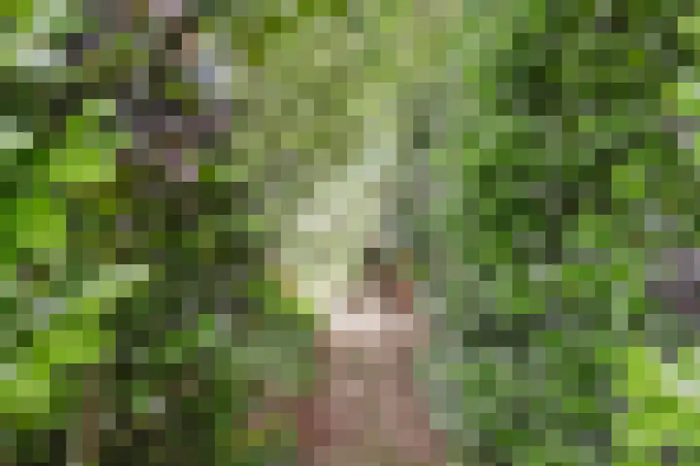 Kloevelaan 22 Giessenburg thumbnail 44