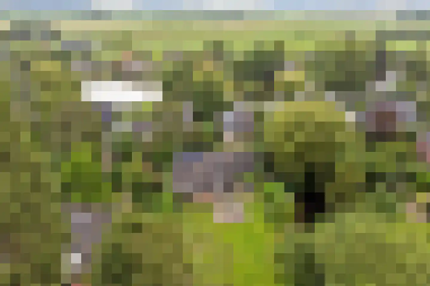 Kloevelaan 22 Giessenburg thumbnail 45