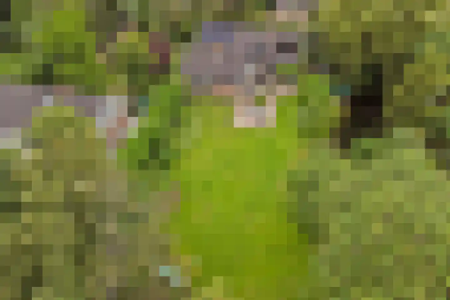 Kloevelaan 22 Giessenburg thumbnail 46