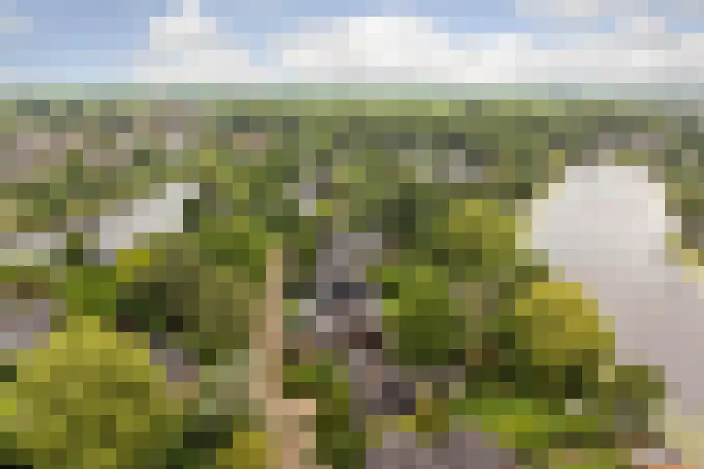 Kloevelaan 22 Giessenburg thumbnail 48