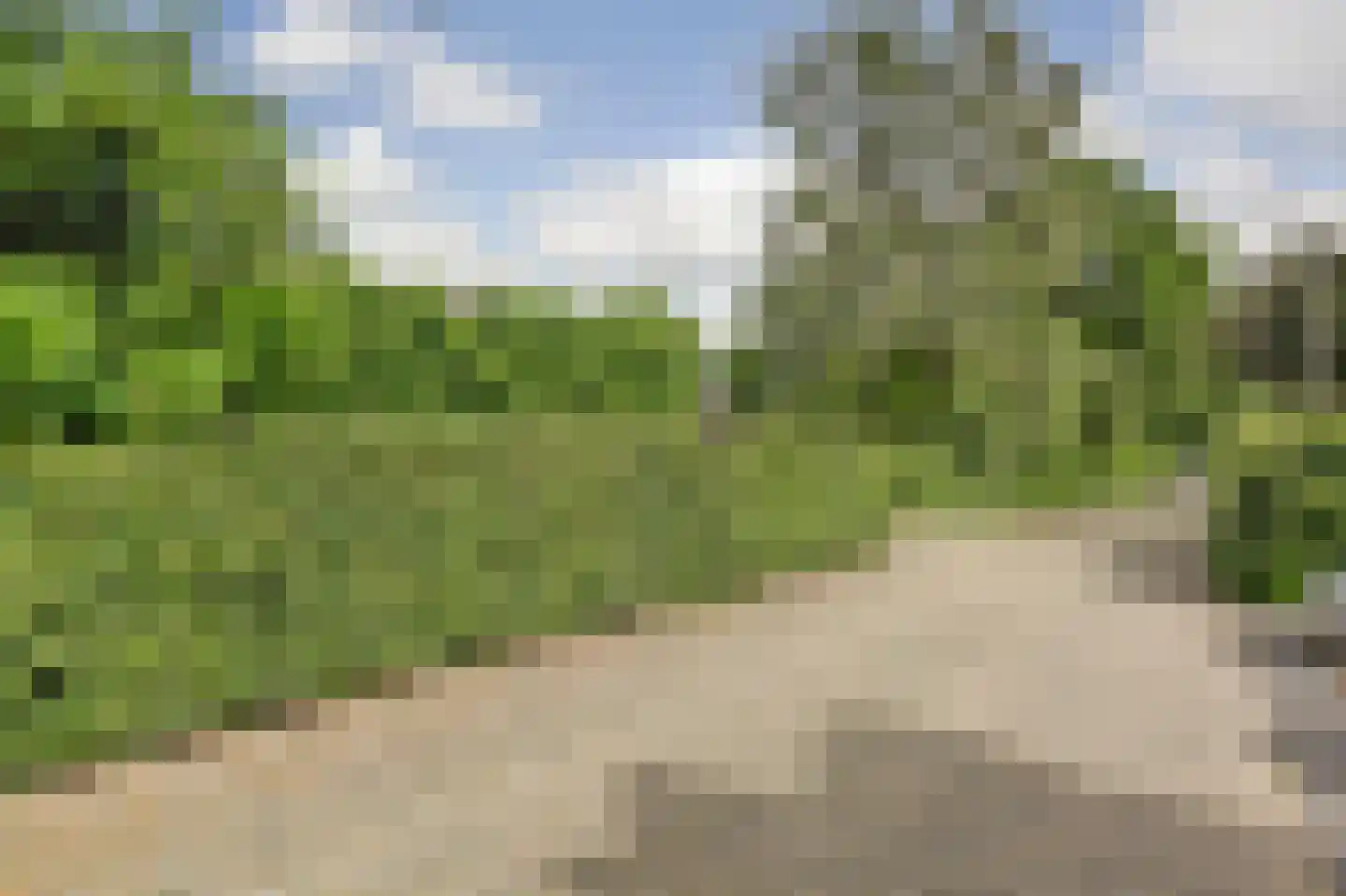 Kloevelaan 22 Giessenburg thumbnail 49