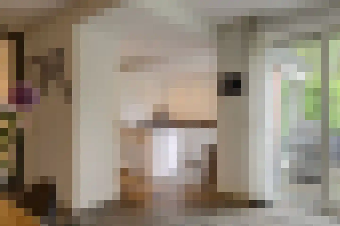 Kloevelaan 22 Giessenburg thumbnail 53
