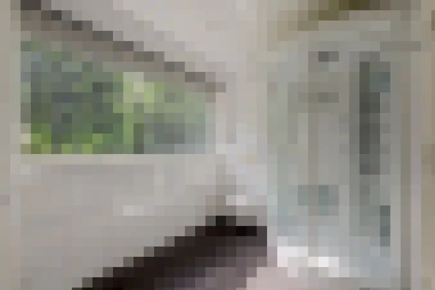 Kloevelaan 22 Giessenburg thumbnail 57