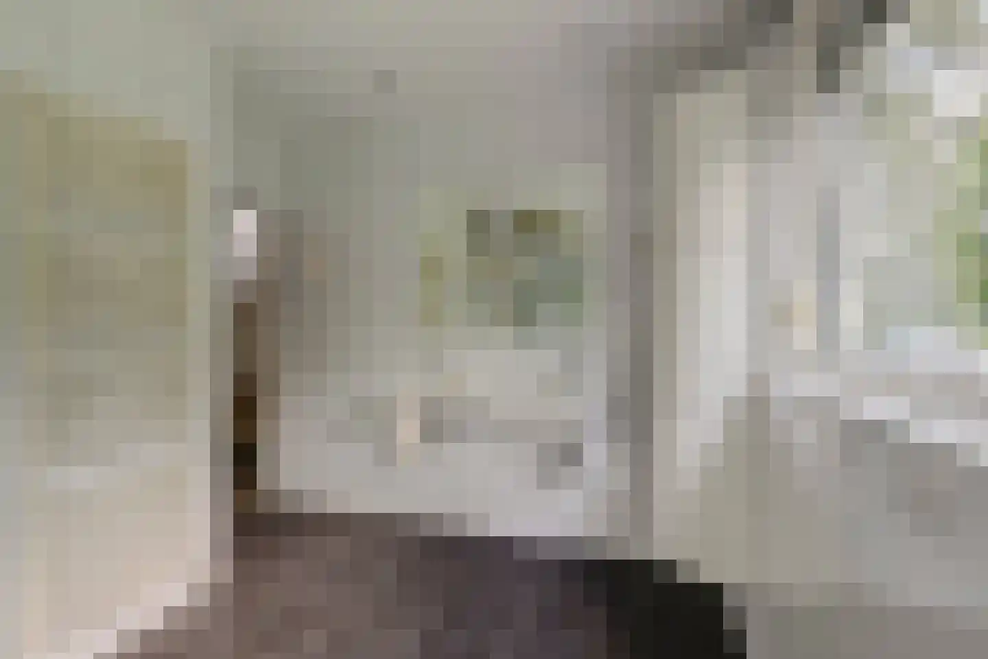 Kloevelaan 22 Giessenburg thumbnail 58