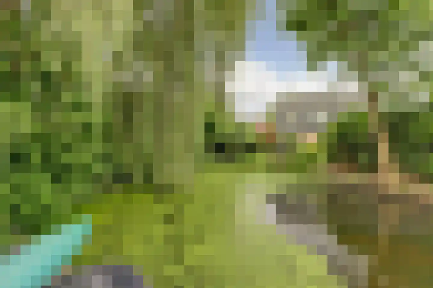 Kloevelaan 22 Giessenburg thumbnail 65