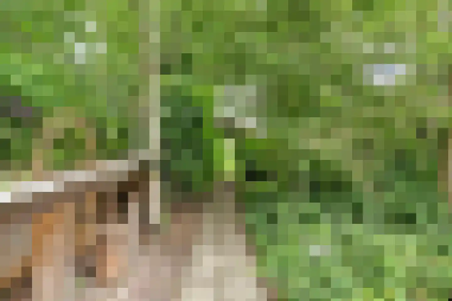 Kloevelaan 22 Giessenburg thumbnail 66
