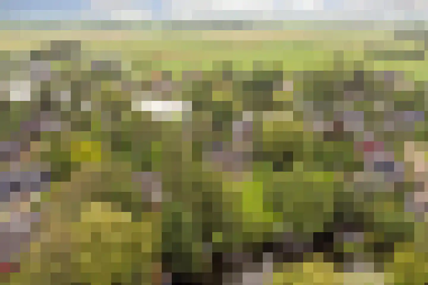 Kloevelaan 22 Giessenburg thumbnail 68
