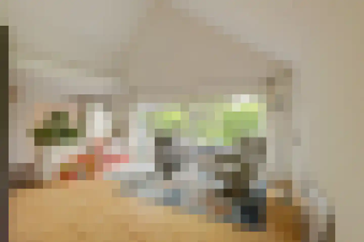 Kloevelaan 22 Giessenburg thumbnail 75