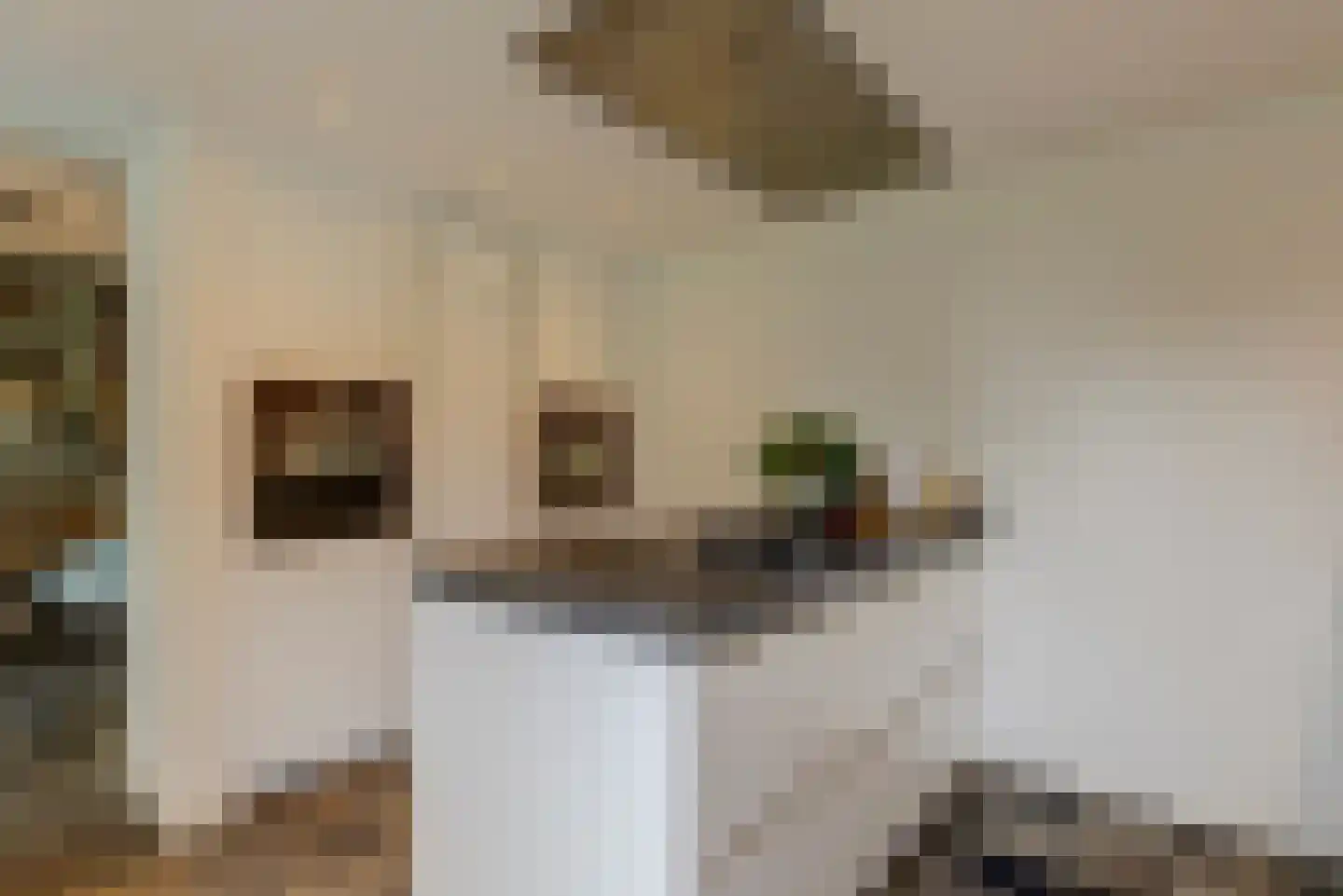 Kloevelaan 22 Giessenburg thumbnail 77