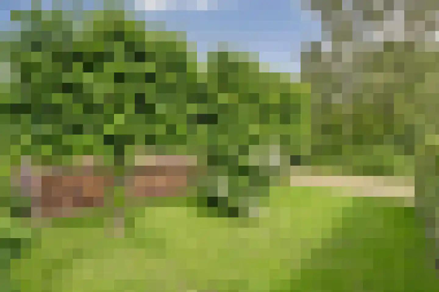Kloevelaan 22 Giessenburg thumbnail 8