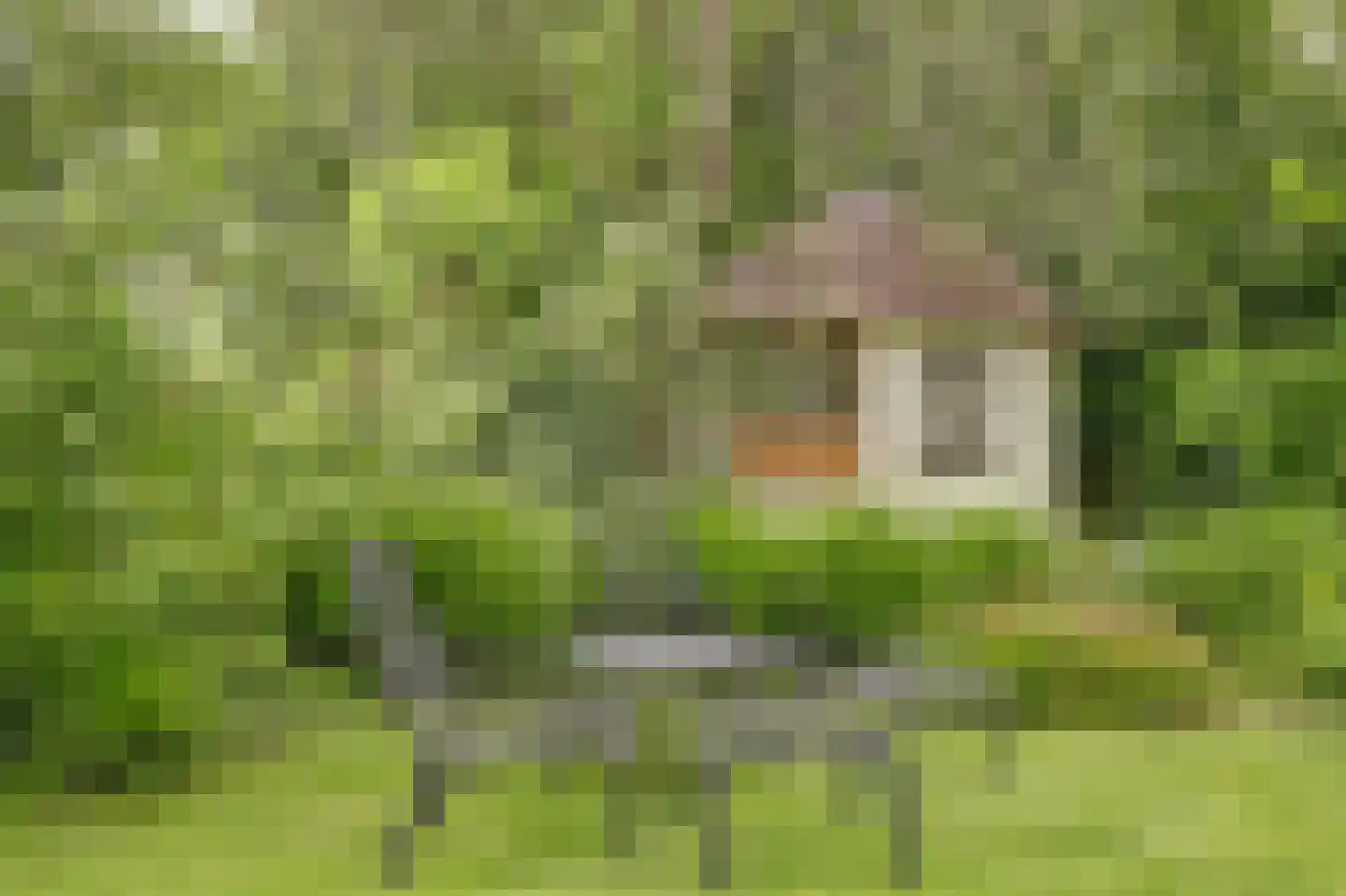 Kloevelaan 22 Giessenburg thumbnail 86