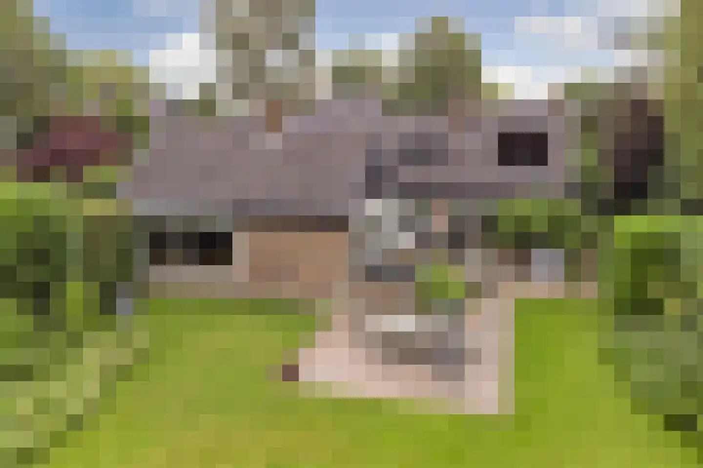 Kloevelaan 22 Giessenburg thumbnail 88