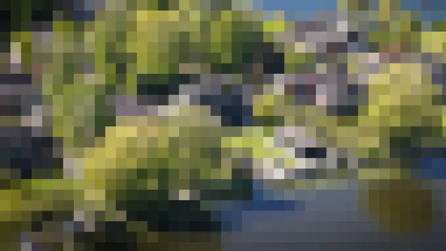 Kloevelaan 27 Giessenburg thumbnail 59