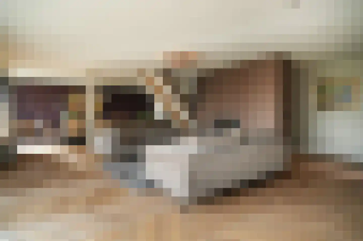 Kloevelaan 27 Giessenburg thumbnail 6