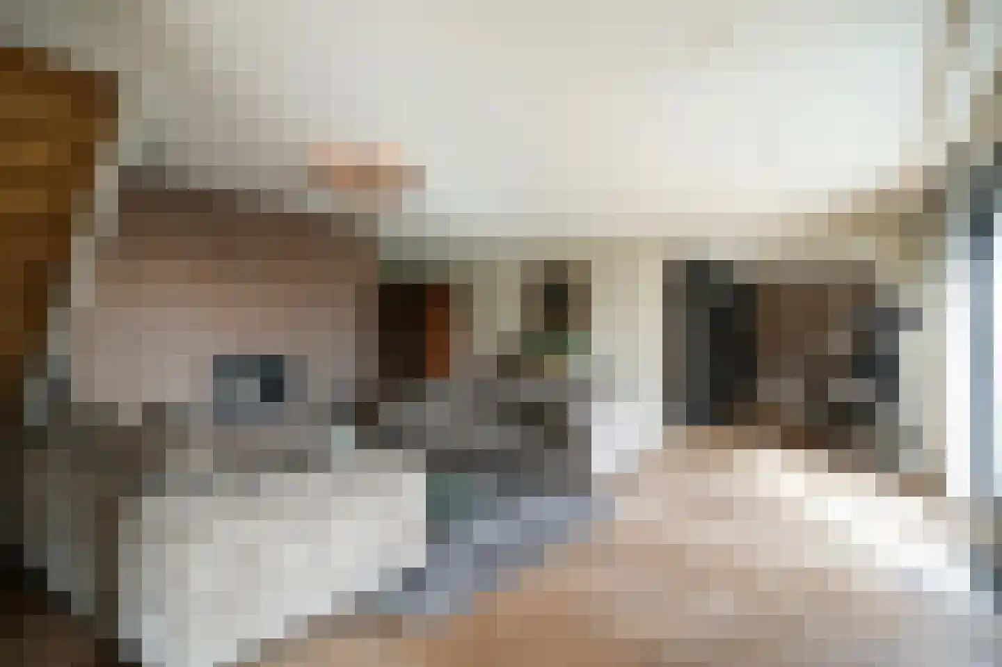 Kloevelaan 27 Giessenburg thumbnail 7