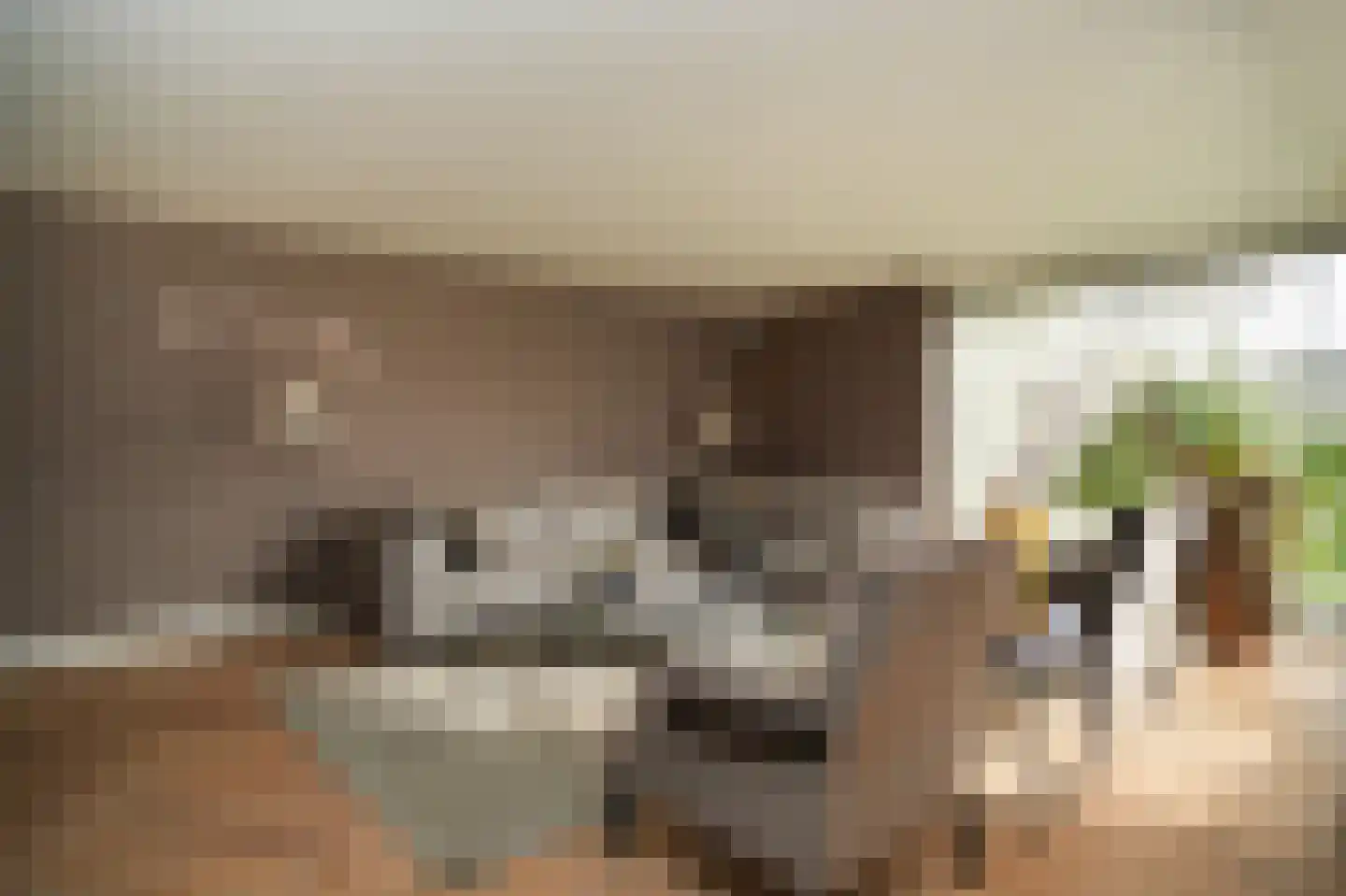 Kloevelaan 27 Giessenburg thumbnail 9