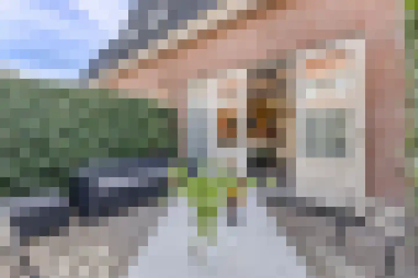 Klokbaai 18 Zaandam thumbnail 4