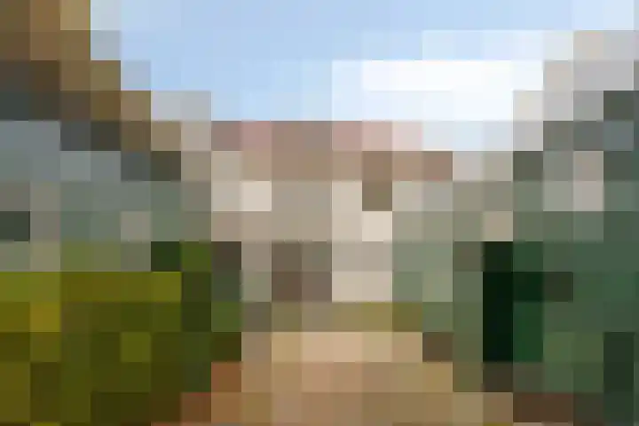 Klokbaai 25 Zaandam thumbnail 12