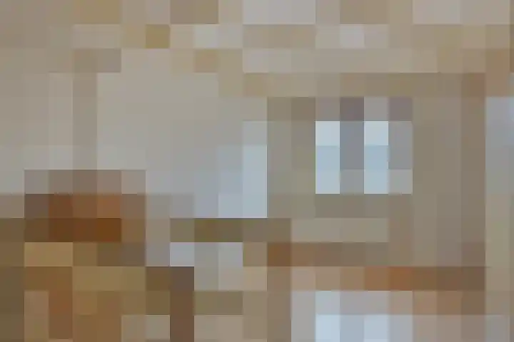 Klokbaai 25 Zaandam thumbnail 34