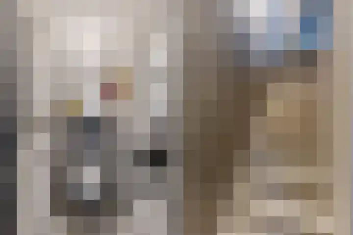 Klokbaai 31 Zaandam thumbnail 12