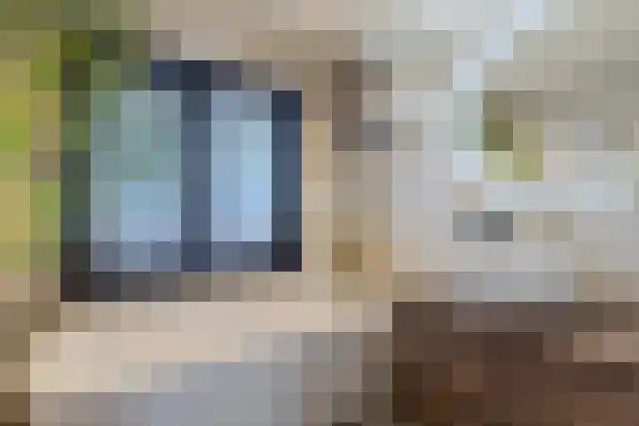 Klokbaai 31 Zaandam thumbnail 20