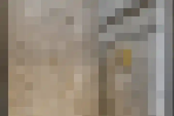 Klokbaai 31 Zaandam thumbnail 22