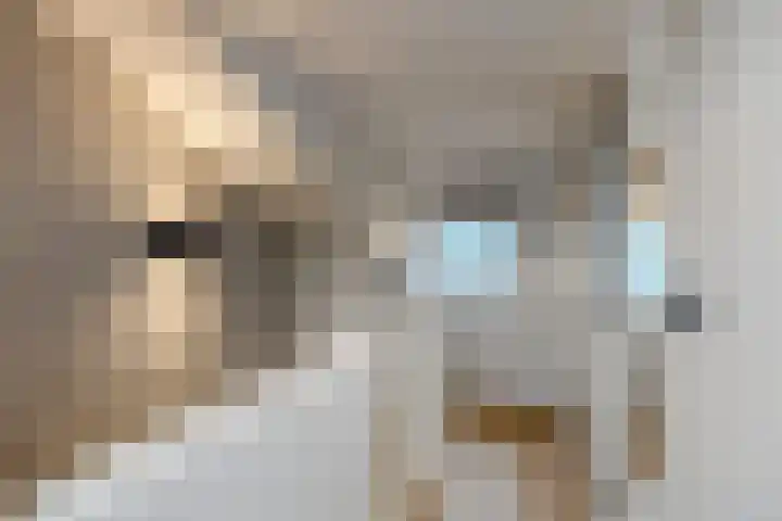 Klokbaai 31 Zaandam thumbnail 23