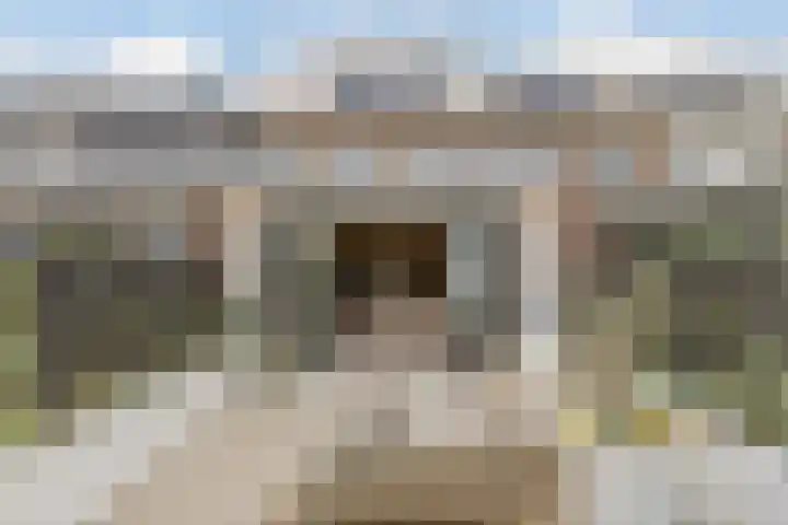 Klokbaai 31 Zaandam thumbnail 28