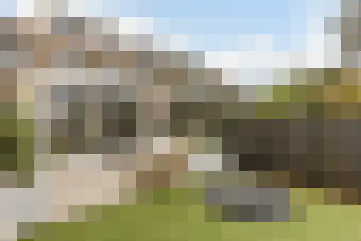 Klokbaai 31 Zaandam thumbnail 30