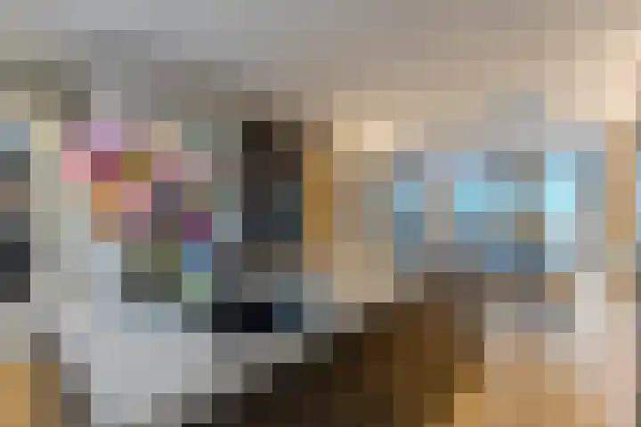 Klokbaai 31 Zaandam thumbnail 4