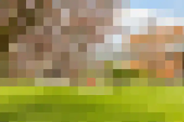 Klokbaai 31 Zaandam thumbnail 40