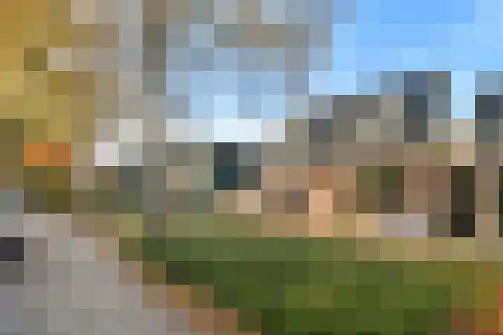 Klokbaai 54 Zaandam thumbnail 5