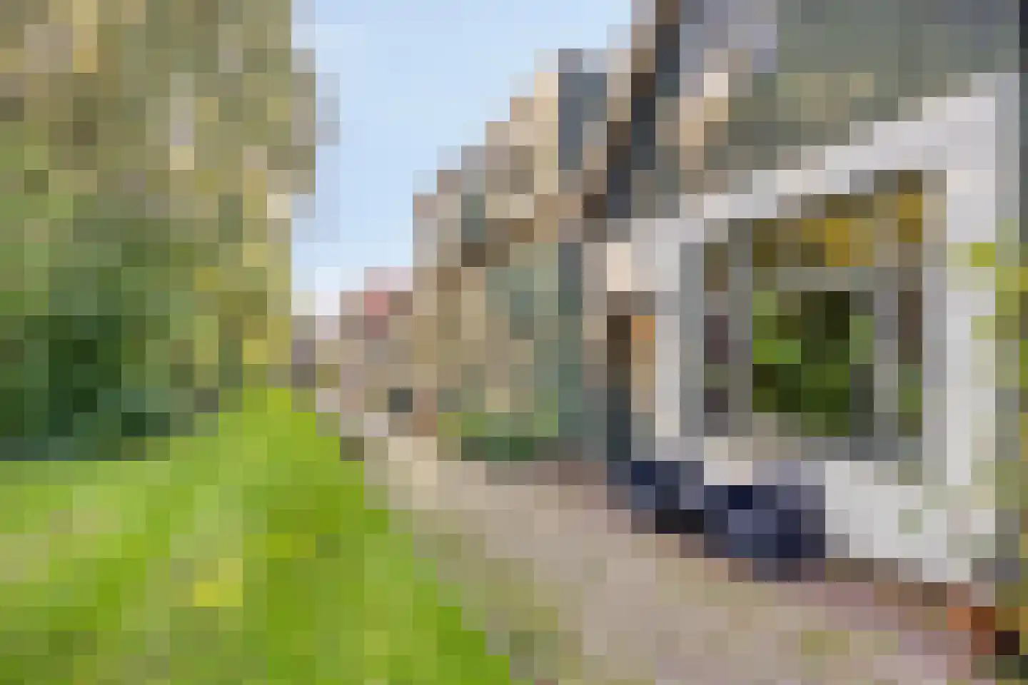 Klokbaai 62 Zaandam thumbnail 22