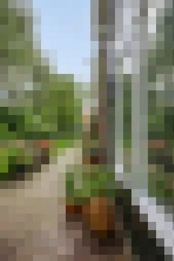 Klokbaai 70 Zaandam thumbnail 5