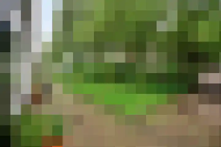Klokbaai 70 Zaandam thumbnail 6
