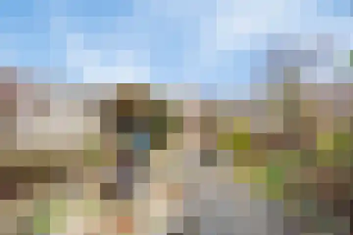 Klokbeker 21 Heesch thumbnail 33