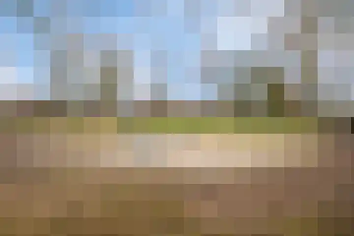 Klokbeker 21 Heesch thumbnail 36
